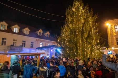 V Kamniku zasijale novoletne lučke (12)